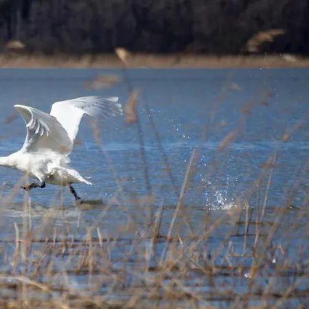 Mathildan Marina Hotel *