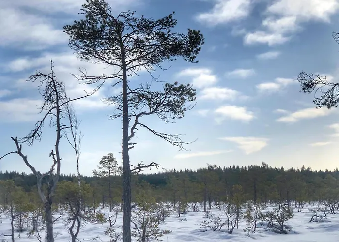 Mathildan Marina فندق *