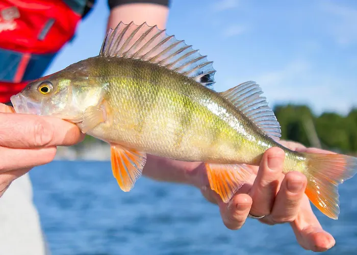 Mathildan Marina فندق