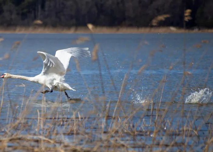 Mathildan Marina فندق *