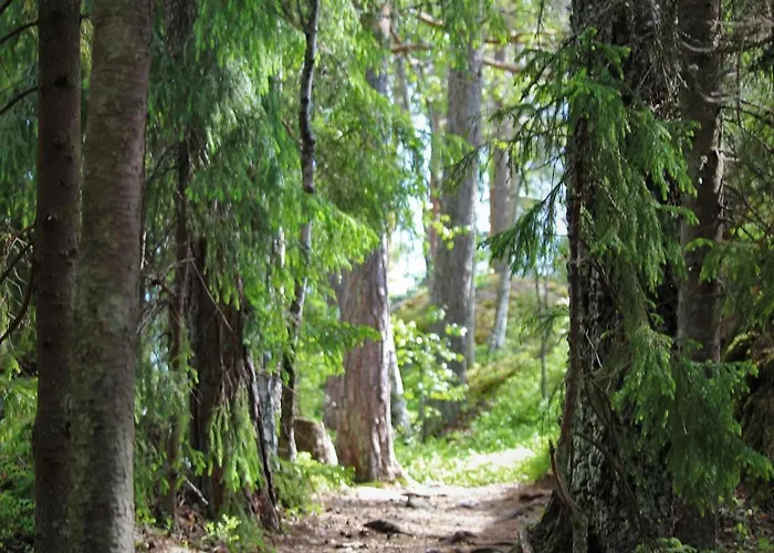 Hotel Mathildan Marina Matildedal