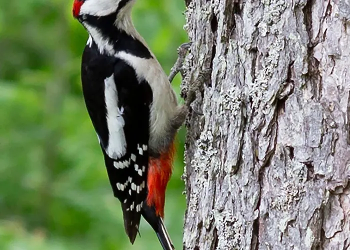 Mathildan Marina * Matildedal